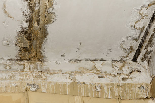 Long Branch, NJ Water damage restoration Company